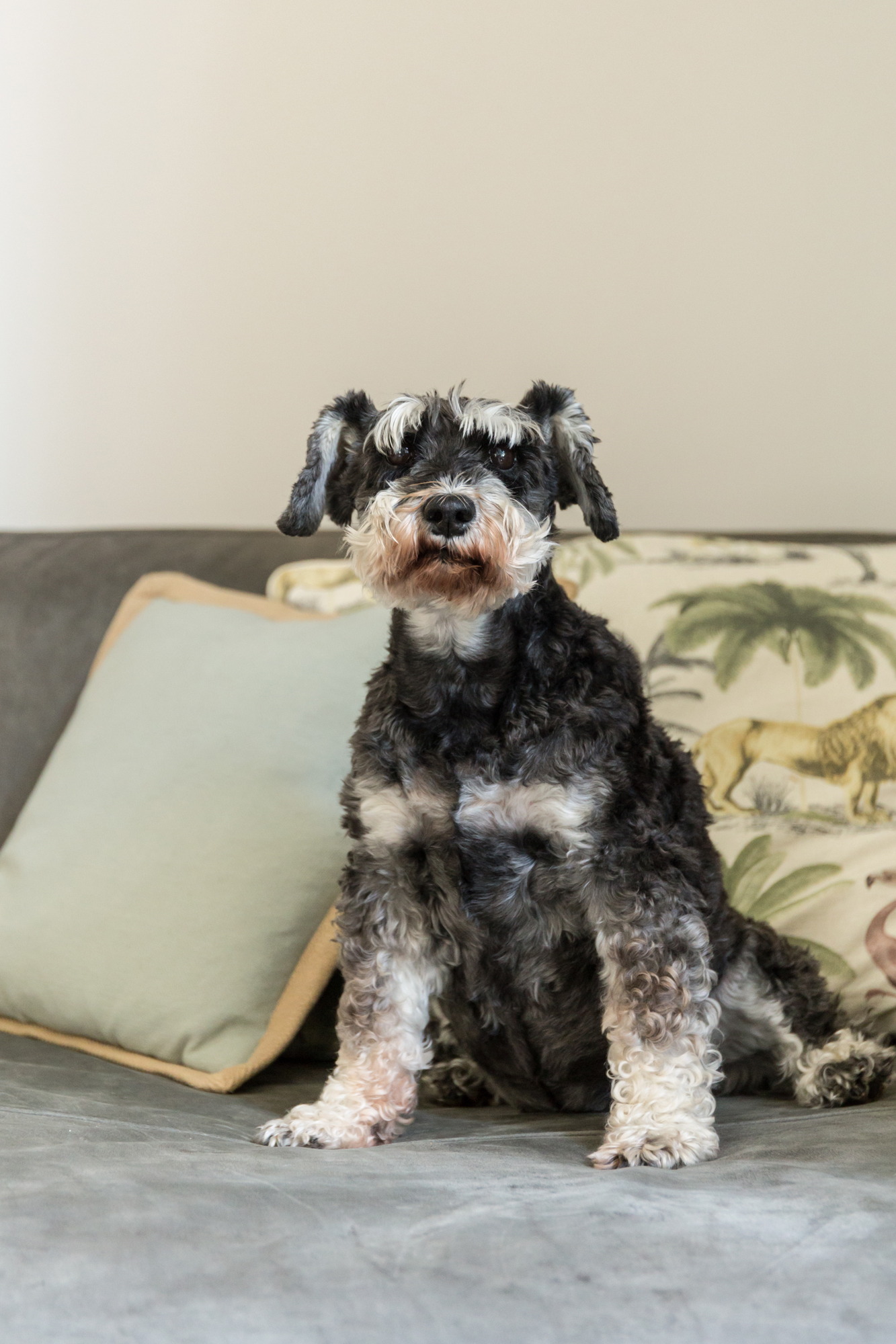 opatija-stan-cigla-arhitektura-dblog (65)