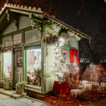 karlovac-advent-ana-bolobicchio-dblog (7)