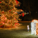 opatija-advent-ana-bolobicchio-dblog (3)