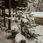 snijeg-gorski-kotar-advent-ana-bolobicchio-dblog (11)