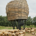 lonjsko-polje-vidikovci-mia-roth-cerina-tonci-cerina (1)