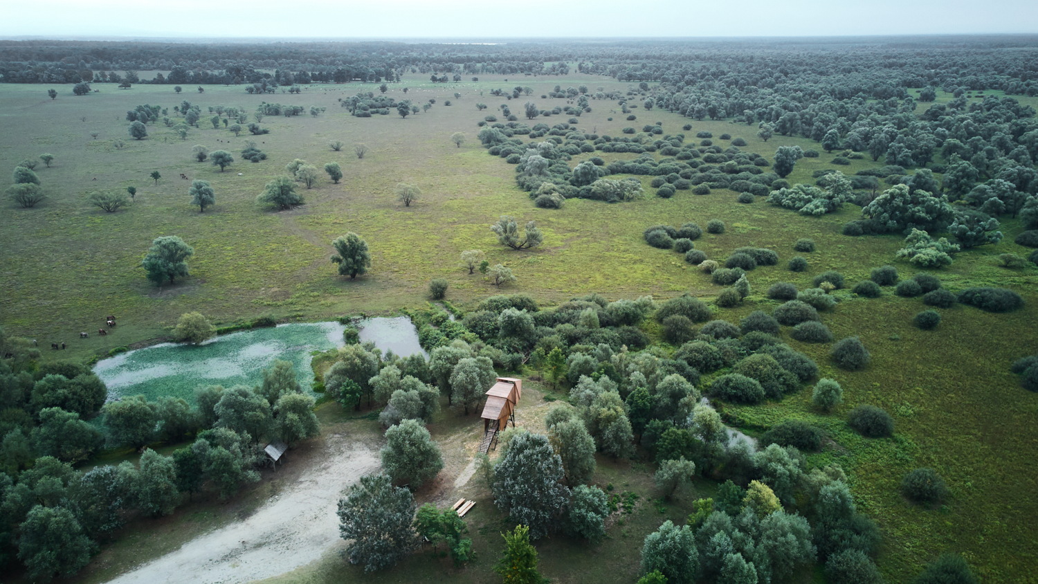 lonjsko-polje-vidikovci-mia-roth-cerina-tonci-cerina (4)