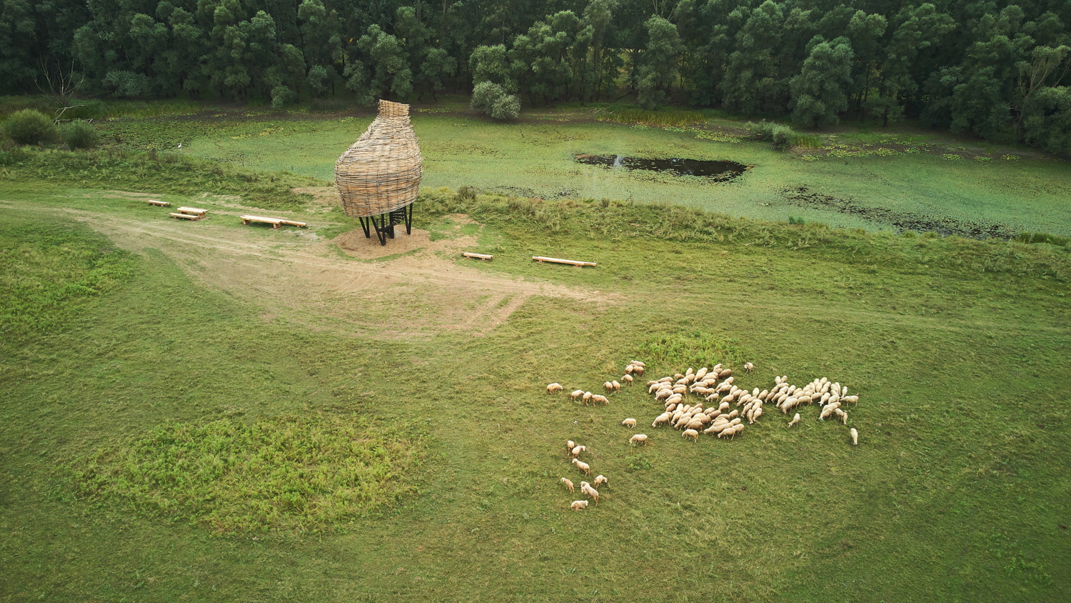 lonjsko-polje-vidikovci-mia-roth-cerina-tonci-cerina (7)