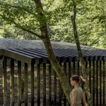 platforma-cret-biljke-suma-dubrava-dubravica-nop-studio (1)