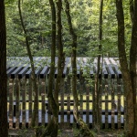 platforma-cret-biljke-suma-dubrava-dubravica-nop-studio (2)