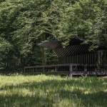 platforma-cret-biljke-suma-dubrava-dubravica-nop-studio (5)