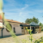 forest-village-theodosius-vipava (7)