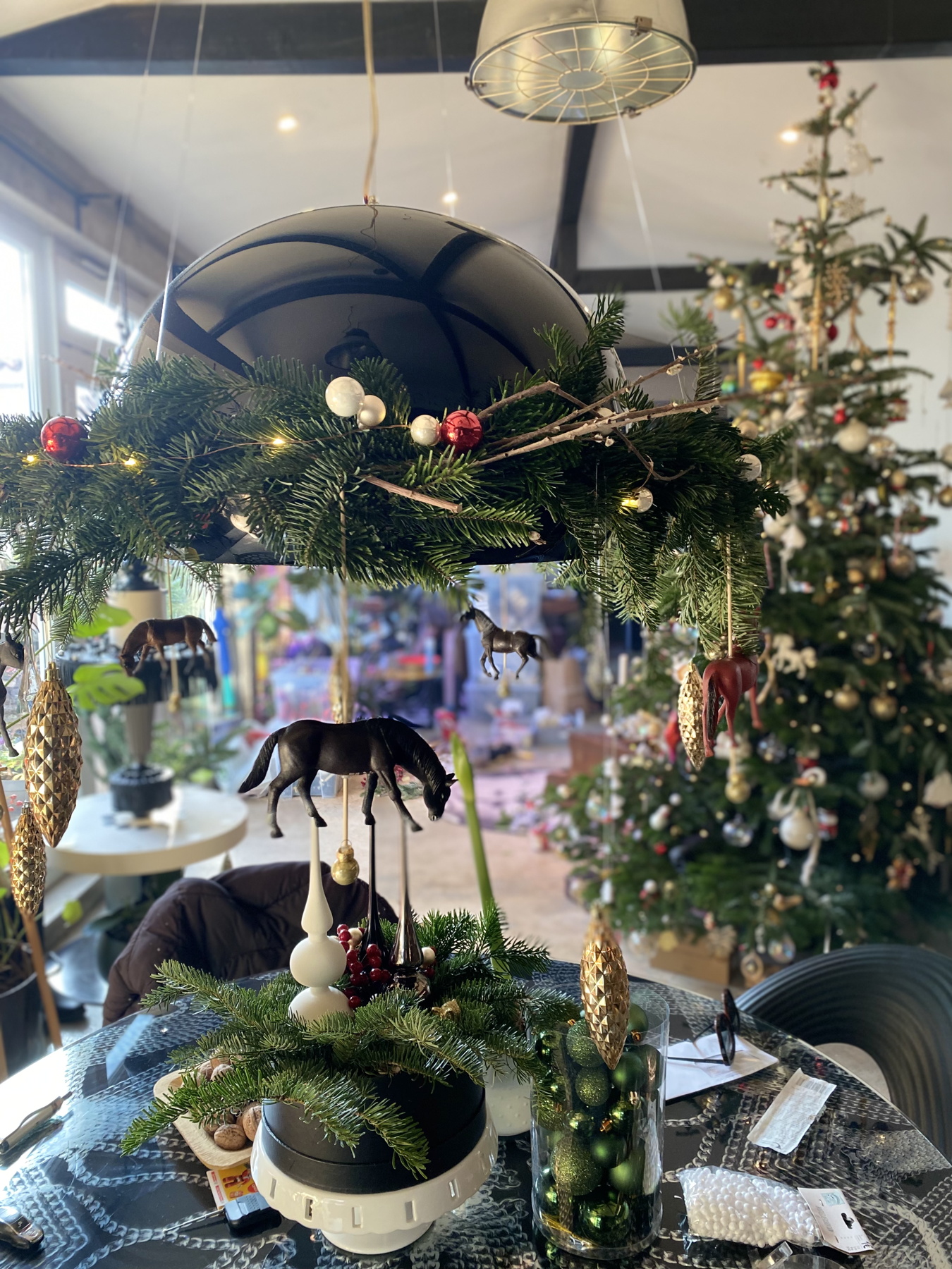 bozic-dragana-sapanjos-dblog (4)