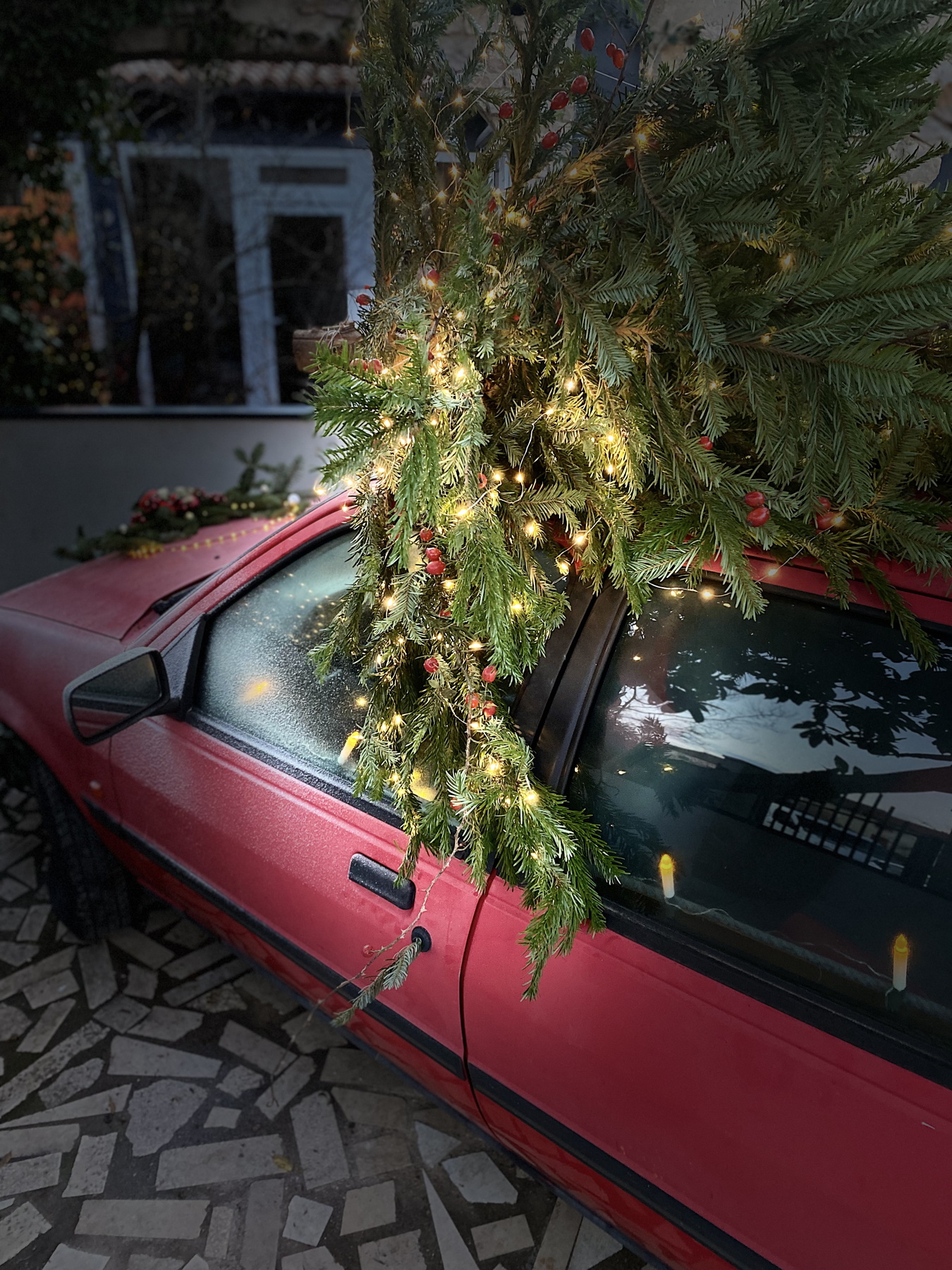 bozic-dragana-sapanjos-dblog (5)