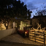 bozic-dragana-sapanjos-dblog (6)
