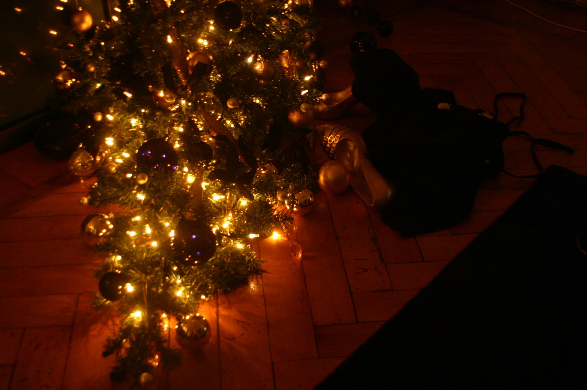 dragana-sapanjos-2010 (1)