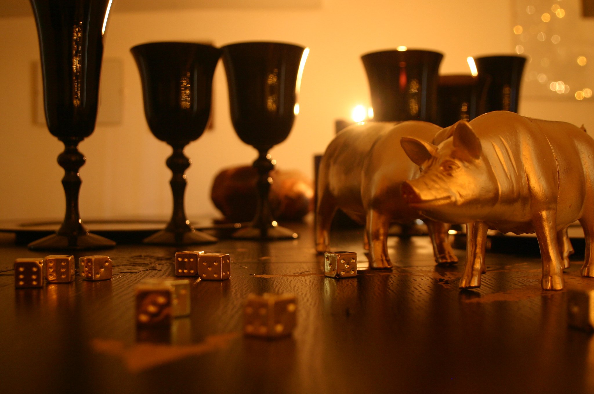 dragana-sapanjos-2010 (2)