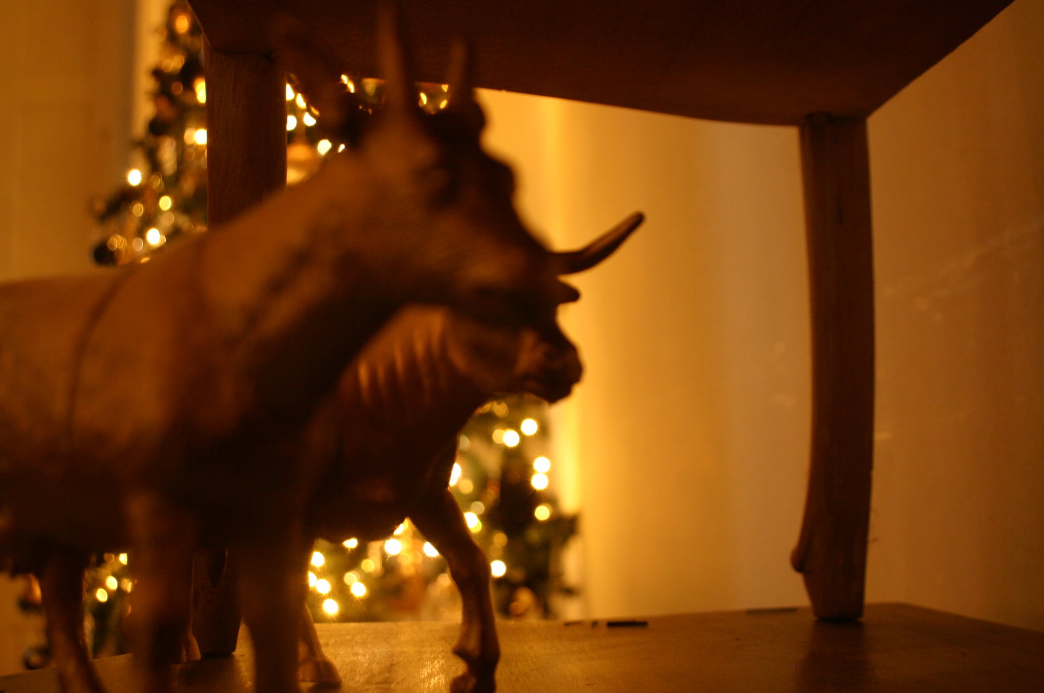 dragana-sapanjos-2010 (3)