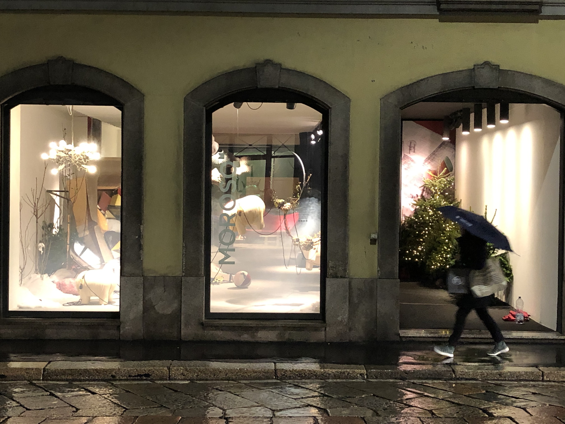 dragana-sapanjos-2019 (1)