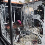 dragana-sapanjos-2019 (8)