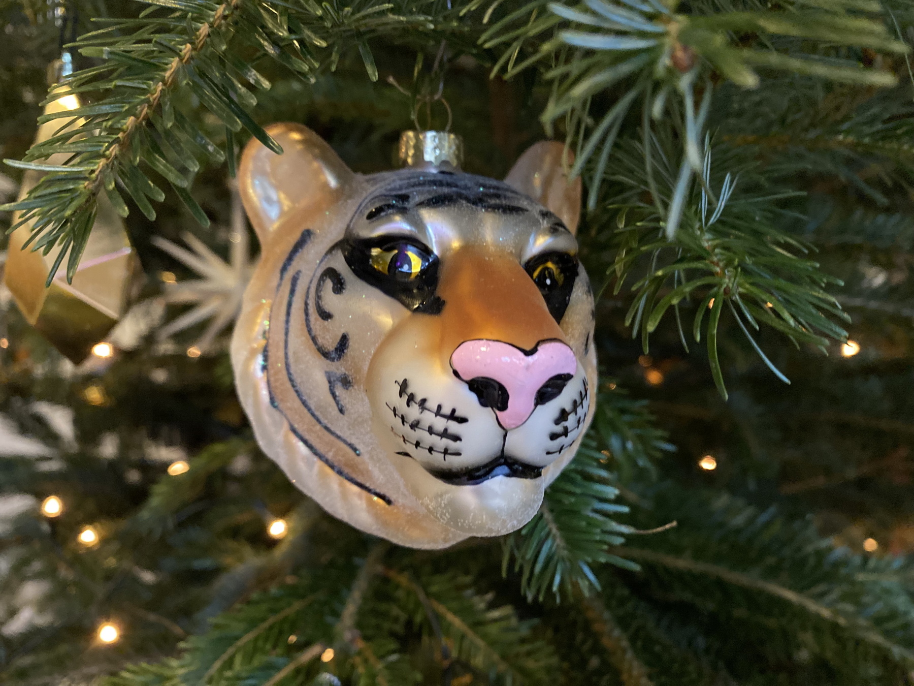 dragana-sapanjos-bozic-2021 (15)