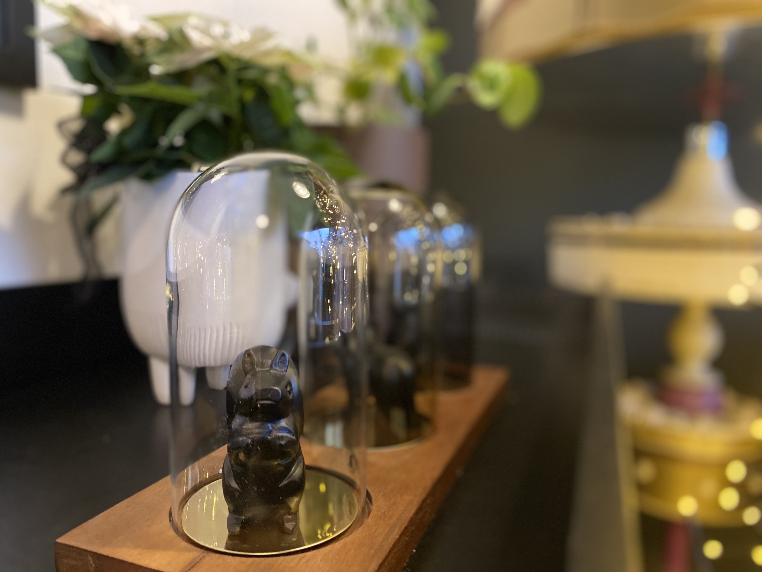 dragana-sapanjos-bozic-2021 (2)