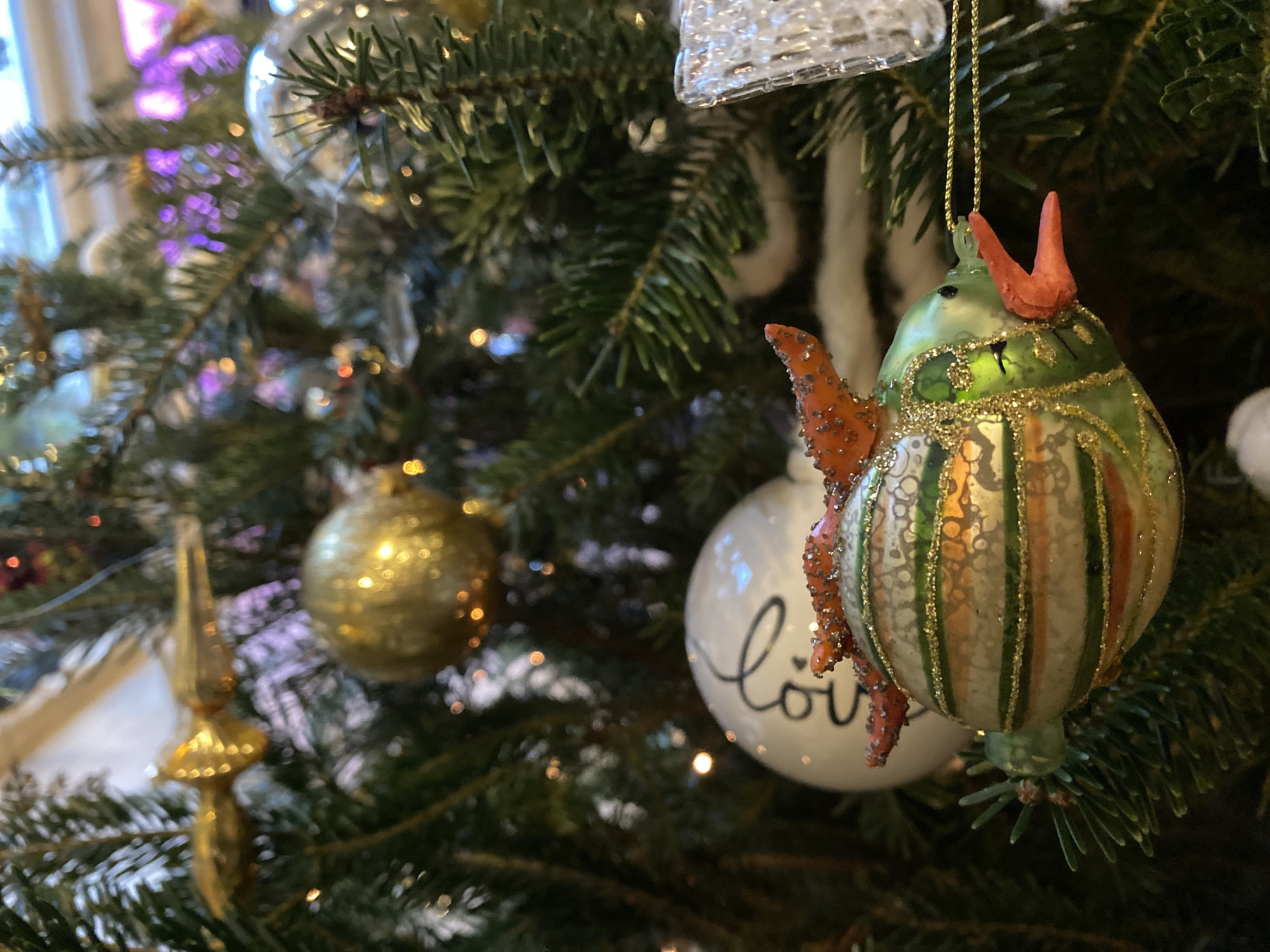 dragana-sapanjos-bozic-2021 (27)