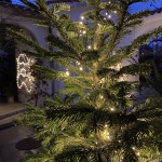 dragana-sapanjos-bozic-2021 (4)