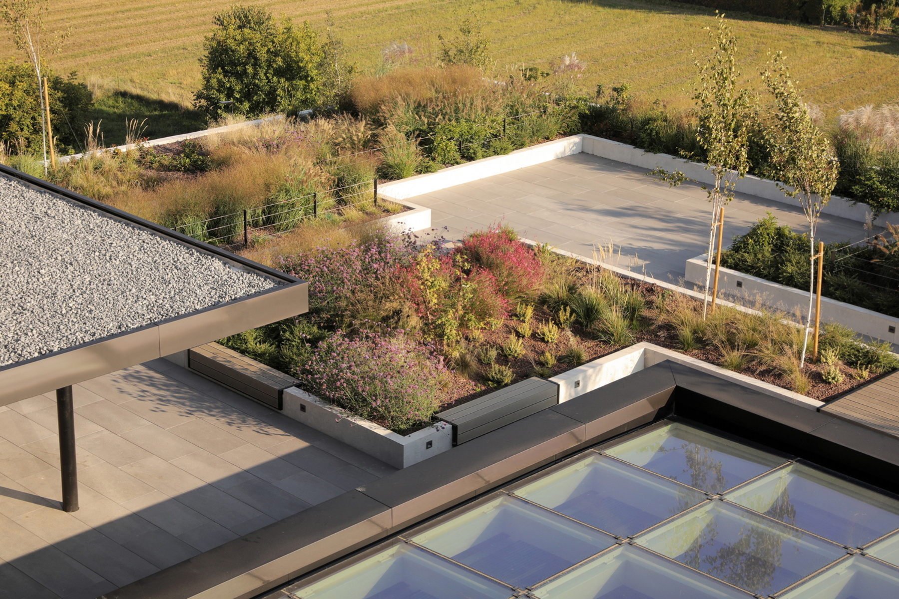3lhd-278-campus-infobip-photo-by-jure-zivkovic-247