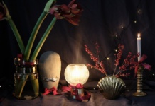 Vaza Monique, dekoracija Arvid, svjetiljka Laye, vaza Shell i dekoracija Palm tree; sve Prima