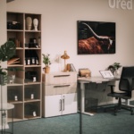 prima-pula-novi-salon-adresa-dblog (55)