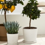 hm-home-pots-posude-za-cvijece (3)