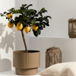 hm-home-pots-posude-za-cvijece (9)