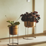 posude-za-cvijece-tegle (1)