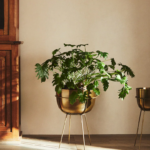 posude-za-cvijece-tegle (2)