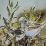 posude-za-cvijece-tegle (3)