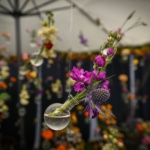 floraart-bundek-2024 (22)