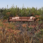 Maximo-nardi – Copy – Copy