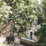 Radetici (50)