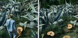 Neobičan, fotogeničan, presladak… upoznajte MILKme