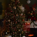 bozic-instagram-dblog (32)