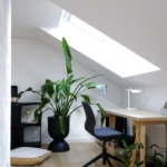biljke-u-domu-potkrovlje-velux-dblog (8)
