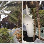 lagomar-lanzarote-manrique (4)