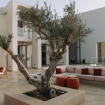 mediteranski-ugodjaj-namjestaj-lesnina-pexels-dblog (2)