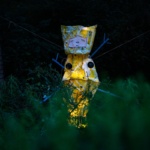 solarpunk-instalacija-ivana-stecuk-dblog (3)