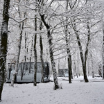 mala-vila-retreat-stari-glog-sumske-kucice-glamping-kruzovi-dblog (7)