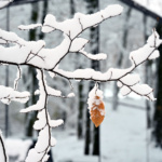 mala-vila-retreat-stari-glog-sumske-kucice-glamping-kruzovi-dblog (8)