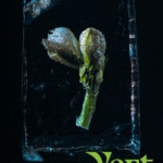 vert-wonderland (3)