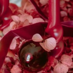 Pixy-with-love-Xmas-dblog (1)