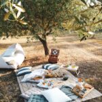 piknik-maslinik-istra-mediteranski-quiet-luxury-stil-lesnina-dblog (12)