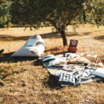 piknik-maslinik-istra-mediteranski-quiet-luxury-stil-lesnina-dblog (14)