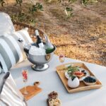 piknik-maslinik-istra-mediteranski-quiet-luxury-stil-lesnina-dblog (4)