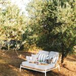 piknik-maslinik-istra-mediteranski-quiet-luxury-stil-lesnina-dblog (6)