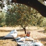 piknik-mediteranski-quiet-luxury-stil-lesnina-dblog (12)