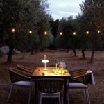 piknik-u-masliniku-istra-dblog-lesnina (1)
